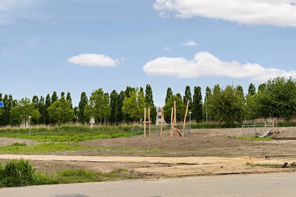 62_Moerasorchidee 31 - Lelystad.jpg